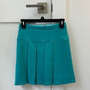 J. Crew Blue Mini Skater Skirt